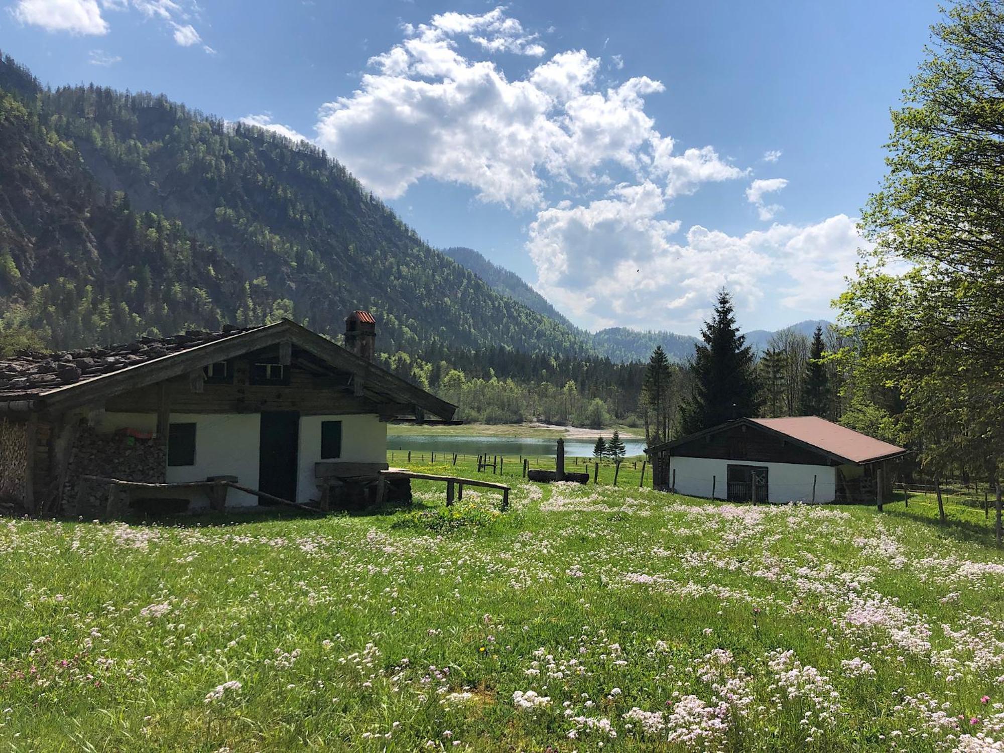 Ferienwohnung Eisenberger Inkl. Chiemgaukarte Ruhpolding Dış mekan fotoğraf